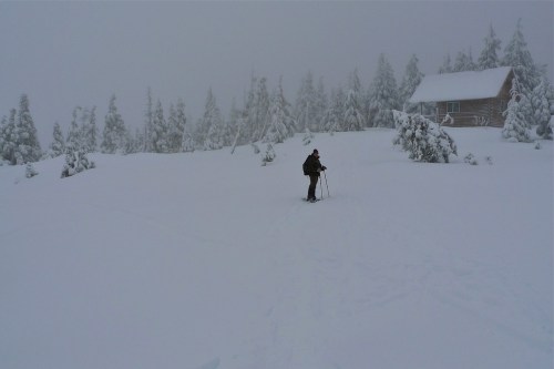 A lone skier navigates a snowy landscape with a cabin in the background, surrounded by tall, snow-covered trees.