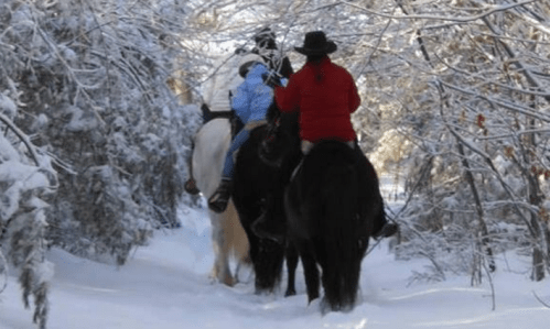 Two riders on horseback navigate a snowy trail surrounded by trees. One rider wears a red coat, the other in blue.