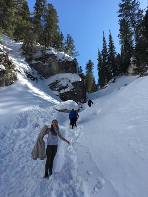 A group of people hiking up a snowy trail surrounded by tall trees and rocky cliffs under a clear blue sky.