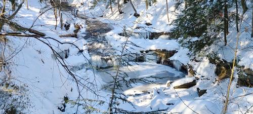 A serene winter scene featuring a frozen stream surrounded by snow-covered trees and icy formations.