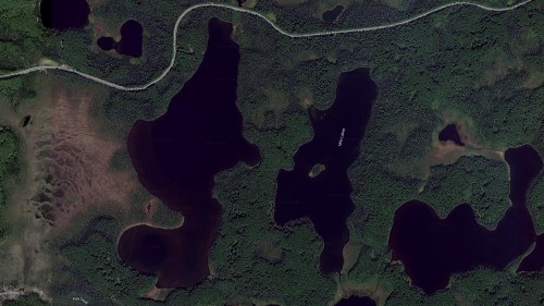 Aerial view of dark water bodies surrounded by dense green forest and a winding road.