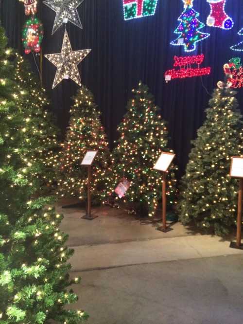 A festive display of decorated Christmas trees surrounded by colorful lights and holiday decorations.