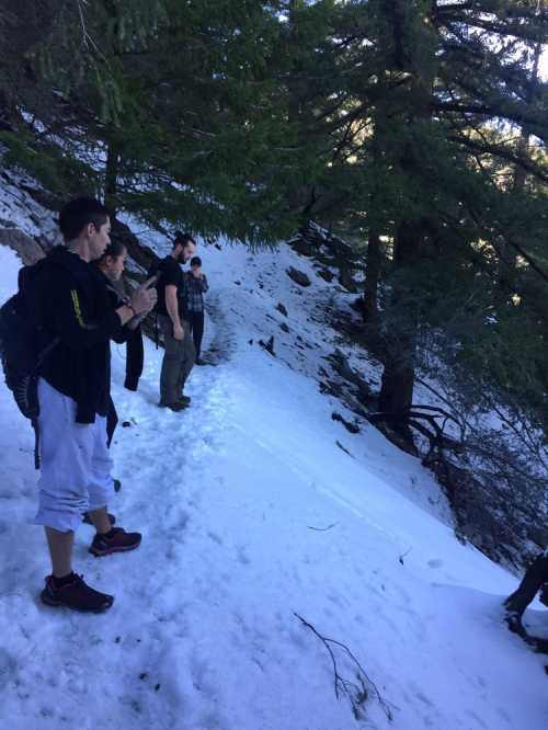 A group of people standing on a snowy trail surrounded by trees, some taking photos while others look around.