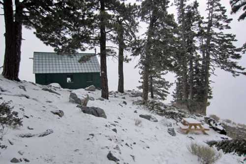 A small green cabin surrounded by snow-covered ground and tall trees, with a picnic table nearby.