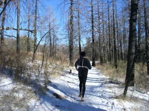 A person jogging on a snowy trail surrounded by bare trees and a clear blue sky.