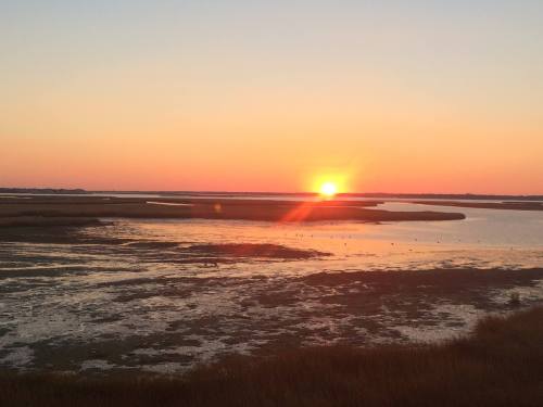 A serene sunset over a marshland, with vibrant orange and pink hues reflecting on the water.
