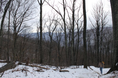 A person walks along a snowy path through a forest of bare trees, with mountains visible in the background.