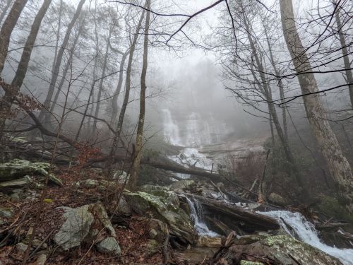 A misty forest scene with a waterfall in the background, surrounded by trees and rocky terrain.