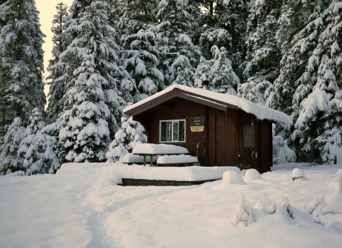 A cozy cabin surrounded by snow-covered trees, with a thick layer of snow on the roof and ground.