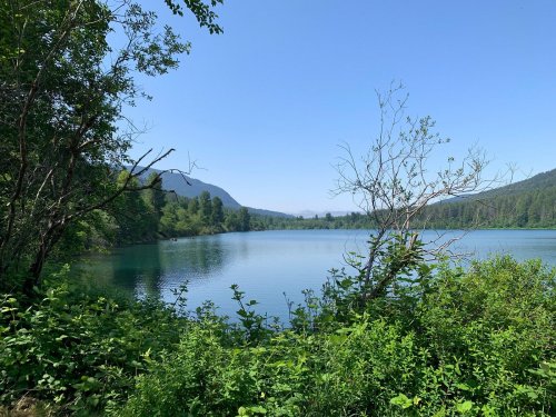 A serene lake surrounded by lush greenery and mountains under a clear blue sky.