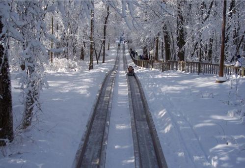 A snowy hill with two sliding tracks, surrounded by trees, and a person sledding down the slope.