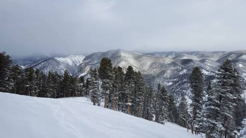 Snow-covered mountains stretch into the distance, surrounded by tall evergreen trees under a cloudy sky.
