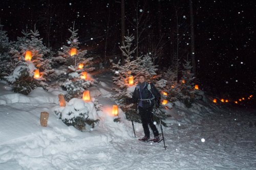 A person stands on a snowy path at night, surrounded by snow-covered trees and glowing lanterns. Snowflakes are falling.