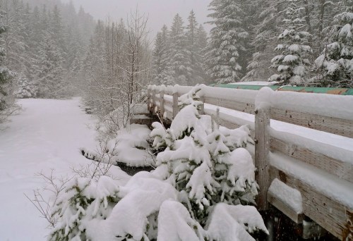 A snowy landscape featuring a wooden bridge surrounded by snow-covered trees and a serene, wintery atmosphere.