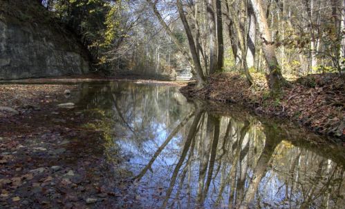 A serene river scene with trees reflecting in the calm water, surrounded by autumn foliage and rocky cliffs.