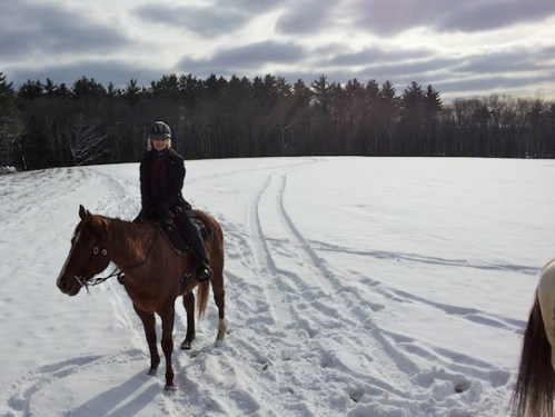 A person on a brown horse in a snowy field, surrounded by trees under a cloudy sky.