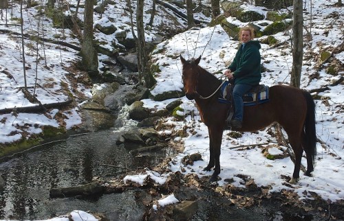 A person on horseback stands by a snowy stream in a wooded area, surrounded by rocks and trees.