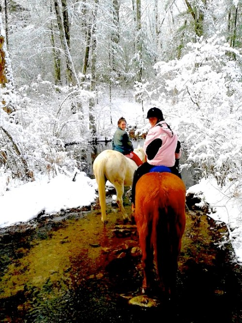 Two riders on horseback crossing a snowy stream in a winter forest. Trees are covered in snow.