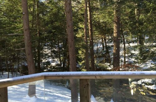 A snowy landscape with tall trees, viewed from a wooden deck with a glass railing.
