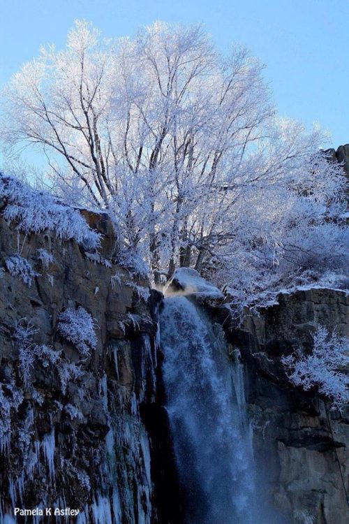 A frozen waterfall cascades down rocky cliffs, surrounded by snow-covered trees against a clear blue sky.