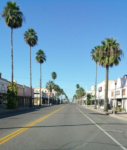 A wide street lined with palm trees and storefronts under a clear blue sky.