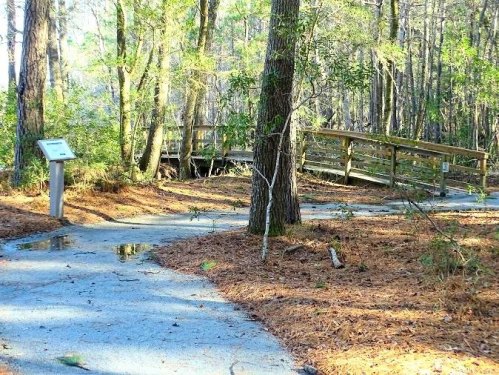 A winding path through a wooded area, leading to a wooden bridge, with a signpost nearby. Pine needles cover the ground.