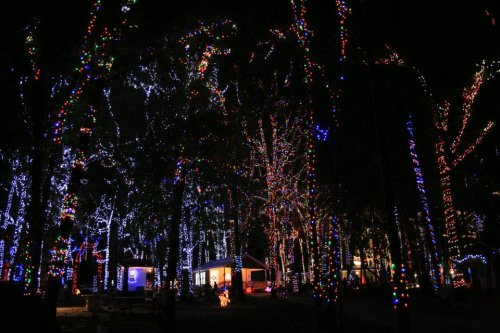 A forest at night illuminated by colorful holiday lights on trees and a cozy cabin in the background.