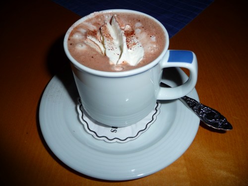 A cup of hot chocolate topped with whipped cream and a sprinkle of cocoa, served on a saucer with a spoon.