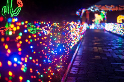 Colorful holiday lights illuminate a pathway, featuring vibrant patterns and shapes along the edges.
