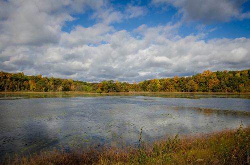 A serene lake surrounded by colorful autumn trees under a cloudy sky. Reflections shimmer on the water's surface.