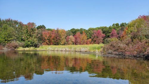A serene pond reflecting vibrant autumn foliage and clear blue skies.