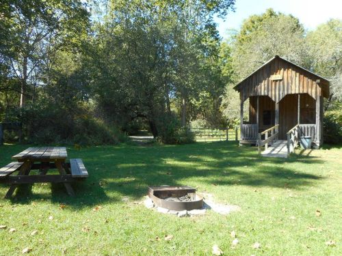 A wooden cabin beside a picnic table and fire pit, surrounded by trees and greenery in a peaceful outdoor setting.