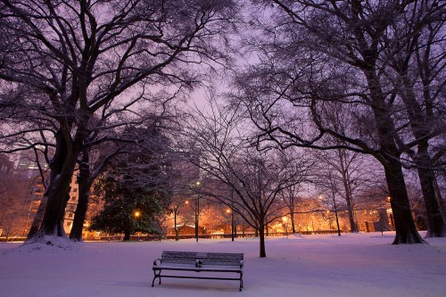A snow-covered park at dusk, featuring a solitary bench surrounded by bare trees and soft, glowing lights in the background.