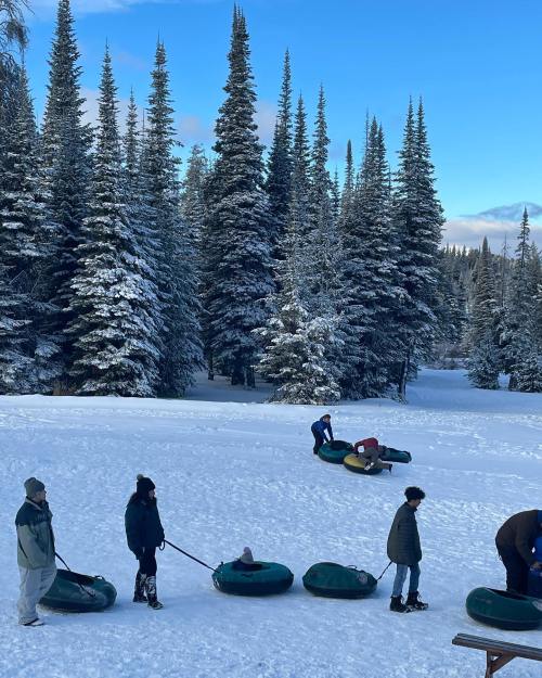 People tubing down a snowy hill surrounded by tall evergreen trees under a clear blue sky.