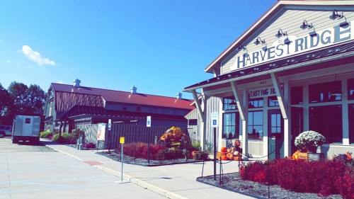 A sunny day at Harvest Ridge, featuring a tasting room and colorful autumn decorations outside.