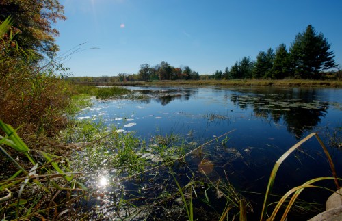 A serene river scene with clear blue skies, lush greenery, and sunlight reflecting on the water's surface.