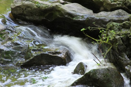 A gentle stream flows over smooth rocks, surrounded by lush greenery in a serene natural setting.