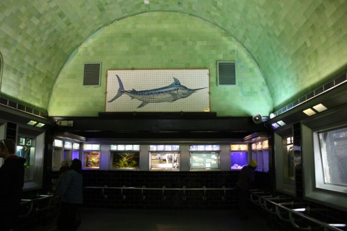 Interior of a subway station featuring a large green-tiled arch and a mural of a marlin on the wall.