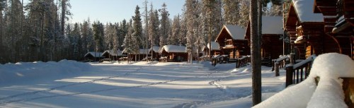 Snow-covered cabins nestled among tall trees in a serene winter landscape.