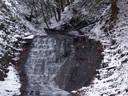 A snowy landscape featuring a small waterfall cascading down a rocky slope, surrounded by trees.