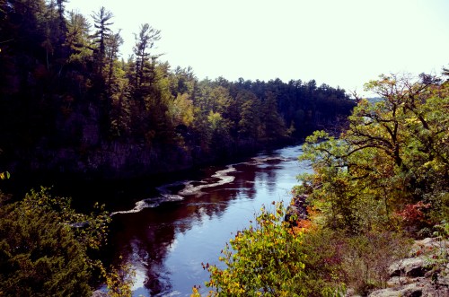 A serene river flows through a forested landscape, surrounded by trees and rocky cliffs under a clear sky.