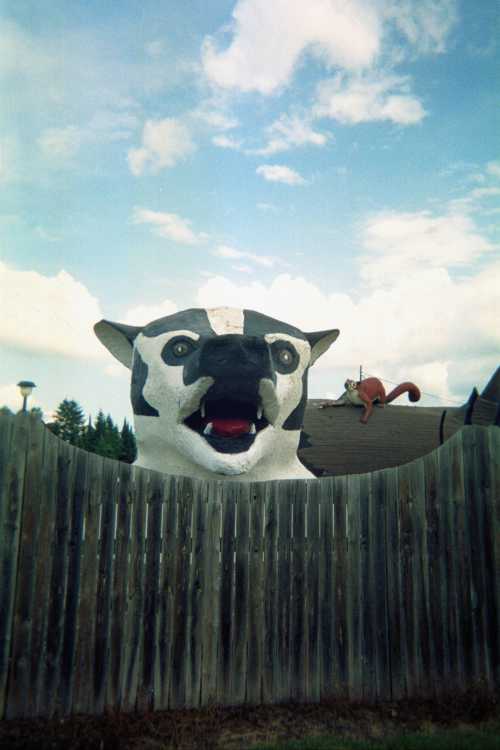 A large, cartoonish badger head peeks over a wooden fence, with a small squirrel on a roof in the background.