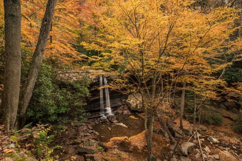 A serene waterfall surrounded by vibrant autumn foliage and rocky terrain in a peaceful forest setting.