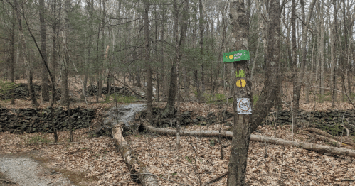 A wooded trail with a sign for Quartz Park, a stone wall in the background, and fallen branches on the ground.