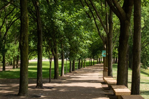 A tree-lined path in a park, featuring benches along the sides and lush green foliage overhead.