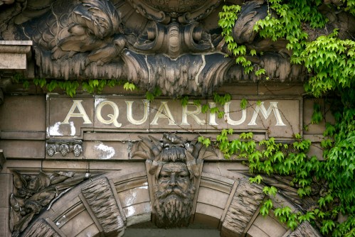 Close-up of an ornate building facade with the word "AQUARIUM" and green ivy climbing over the stonework.