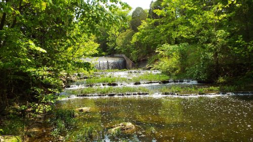 A serene landscape featuring a waterfall surrounded by lush green trees and a calm, reflective stream.