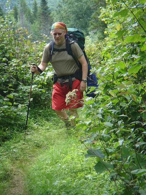A hiker with a backpack walks along a narrow trail surrounded by lush greenery.