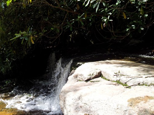 A small waterfall cascades over rocks, surrounded by lush greenery in a serene natural setting.