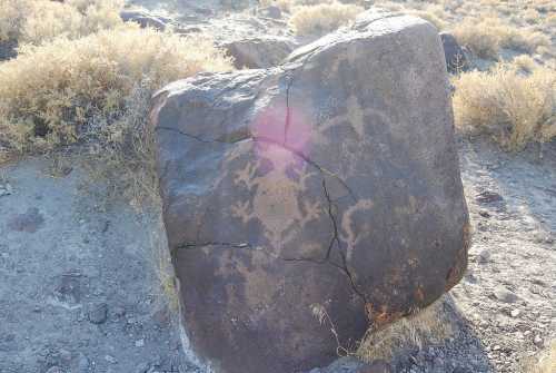 A large, cracked rock in a dry landscape, surrounded by sparse vegetation and sunlight creating a lens flare.